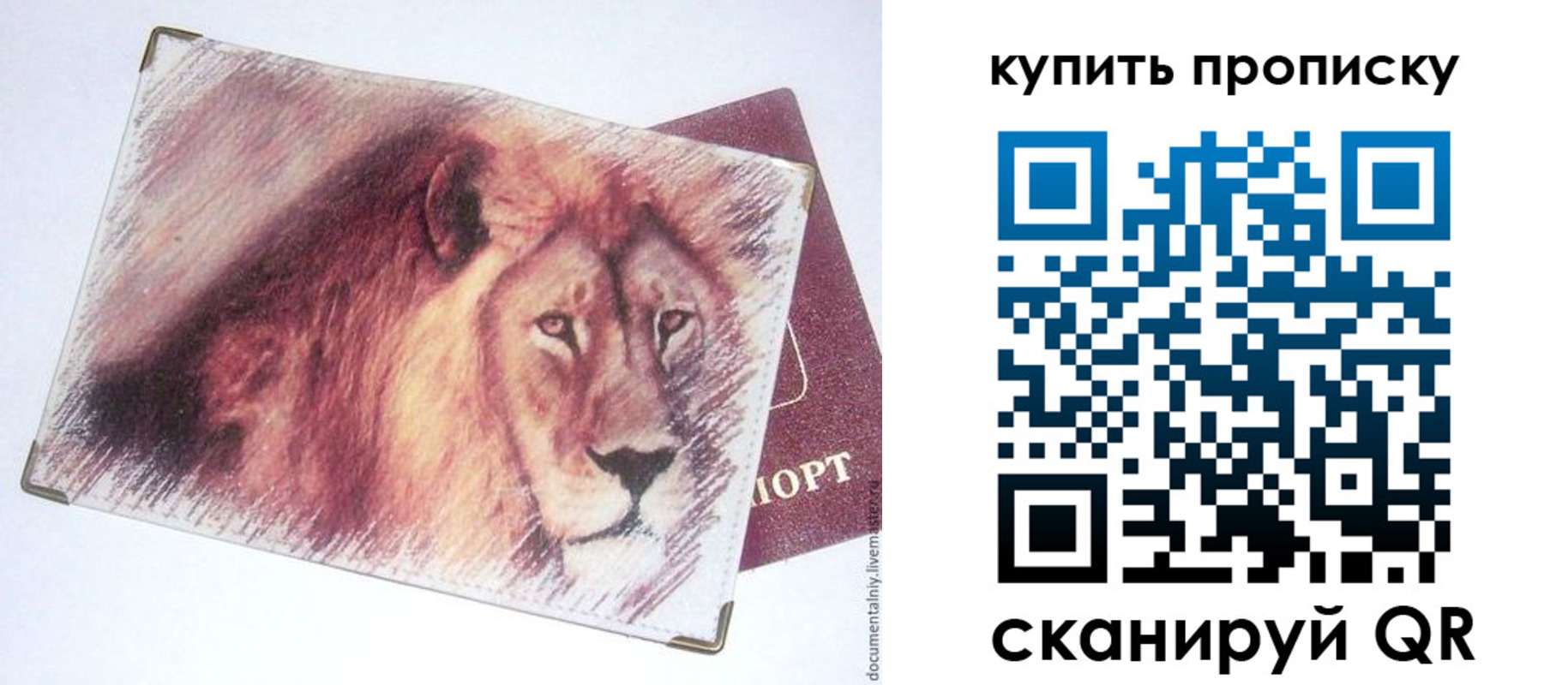 прописка паспорт в Калаче